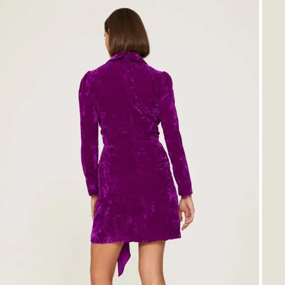 Size 6 - SHOSHANNA - Caroline Velvet Purple Dress Rent the Runway RTR $440 msrp - Picture 2 of 13